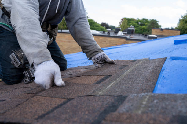 Best Storm Damage Roof Repair  in Columbus, NC