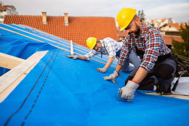 Professional Roofing Contractor in Columbus, NC
